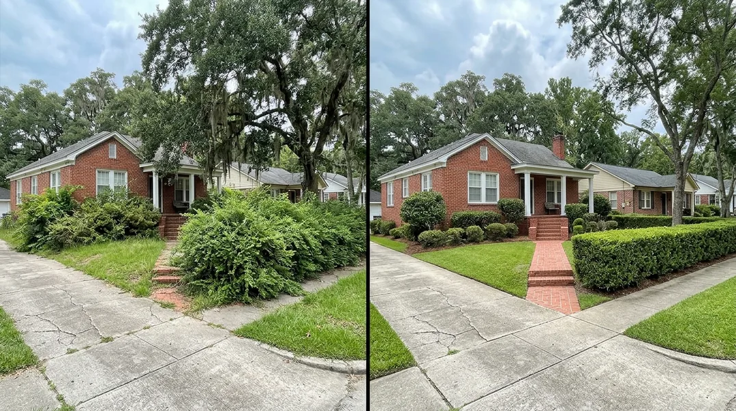 Result tree service in Baton Rouge - Baton Rouge Tree Service